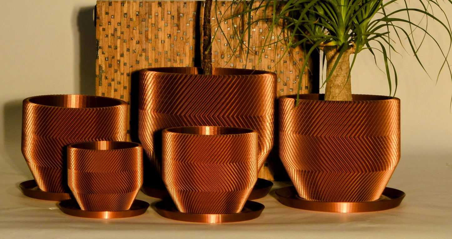 THE VECTOR PLANTER (2XL)