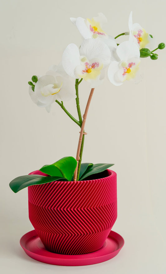 THE VECTOR PLANTER (SMALL)