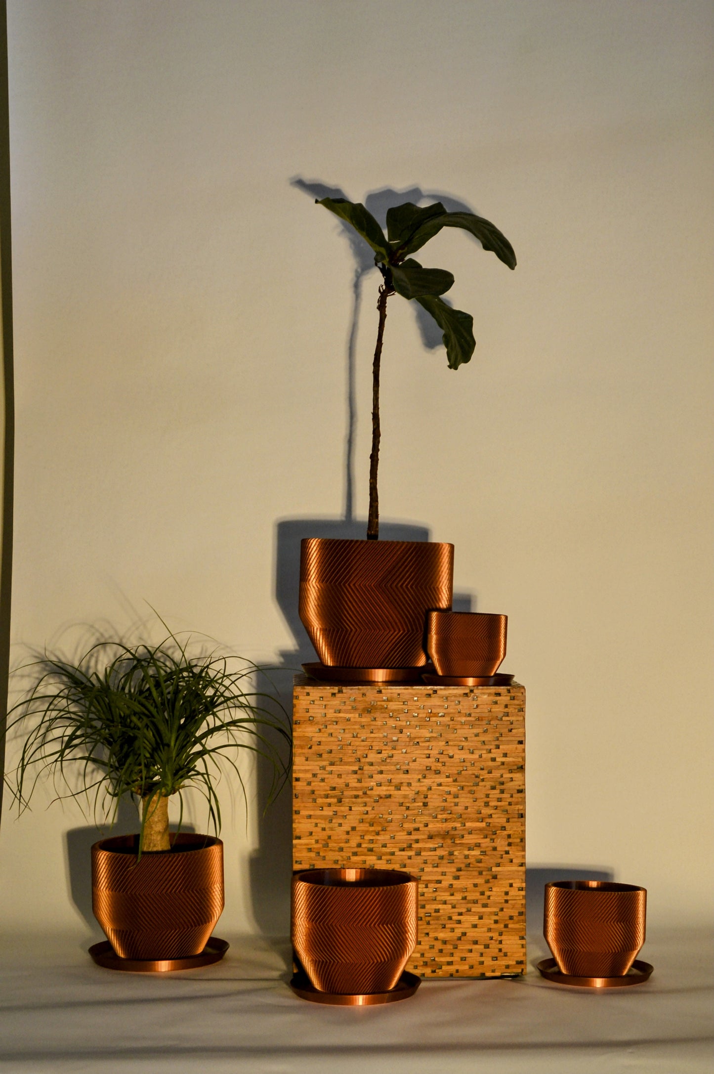 THE VECTOR PLANTER (X-LARGE)