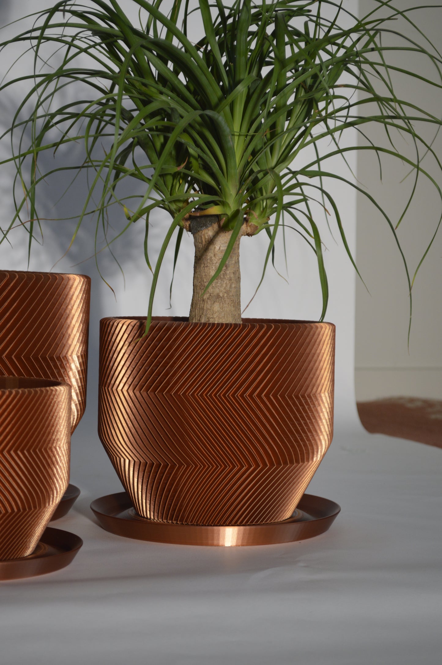 THE VECTOR PLANTER (X-LARGE)