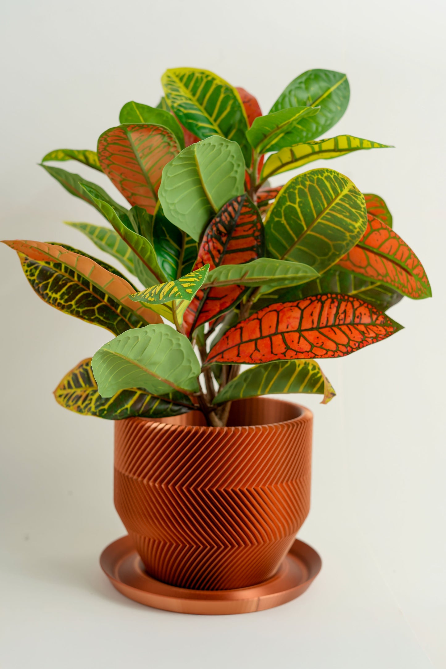 THE VECTOR PLANTER (SMALL)