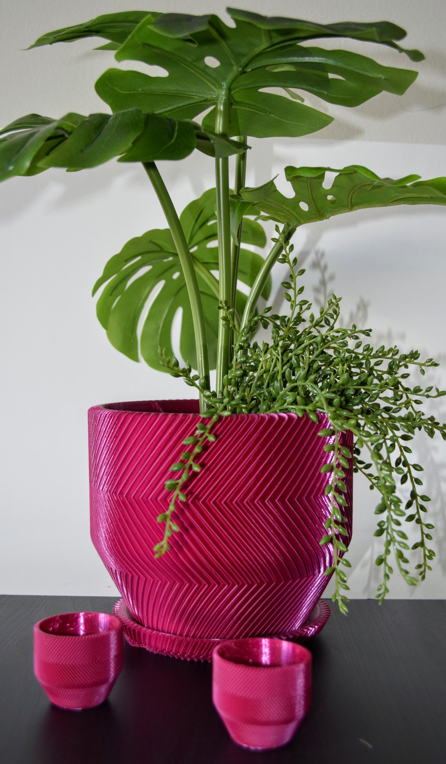 THE VECTOR PLANTER (MEDIUM)