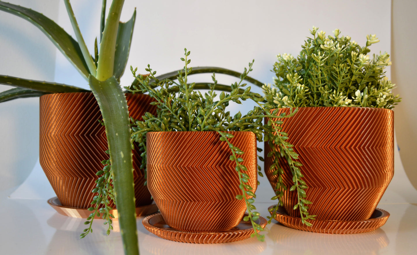 THE VECTOR PLANTER (3 PIECE Set)